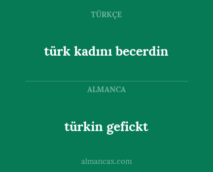 türkin gefickt - türk kadını becerdin