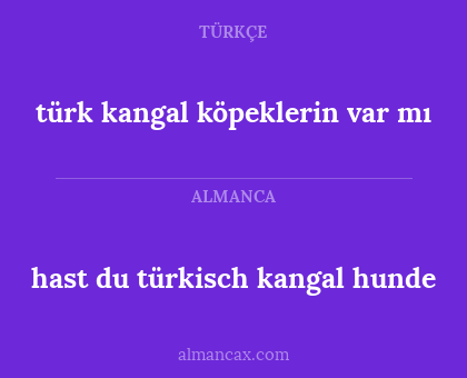 türk kangal köpeklerin var mı - hast du türkisch kangal hunde
