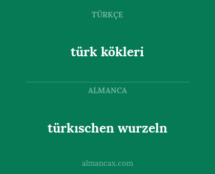 türkıschen wurzeln - türk kökleri