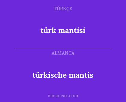 türk mantisi - türkische mantis