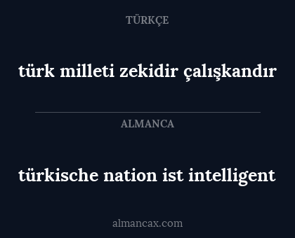 türk milleti zekidir çalışkandır - türkische nation ist intelligent