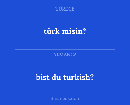 türk misin? - bist du turkish?