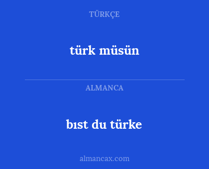 bıst du türke - türk müsün
