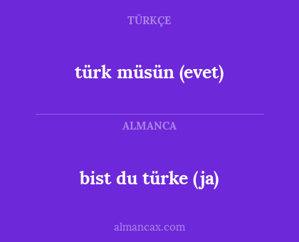 bist du türke (ja) - türk müsün (evet)