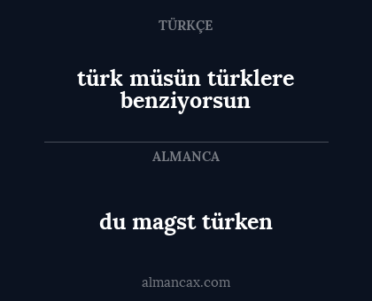 du magst türken - türk müsün türklere benziyorsun