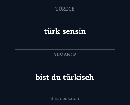 bist du türkisch - türk sensin