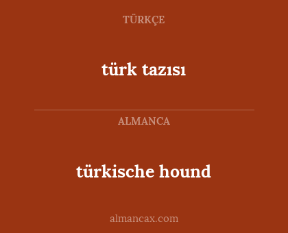 türkische hound - türk tazısı