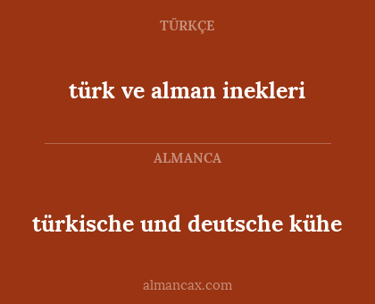türk ve alman inekleri - türkische und deutsche kühe
