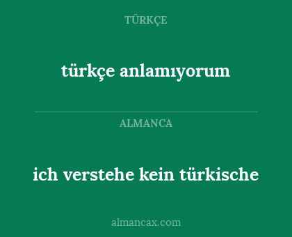 ich verstehe kein türkische - türkçe anlamıyorum