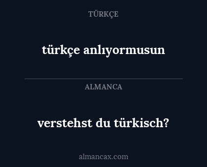 türkçe anlıyormusun - verstehst du türkisch?