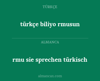 rmu sie sprechen türkisch - türkçe biliyo rmusun