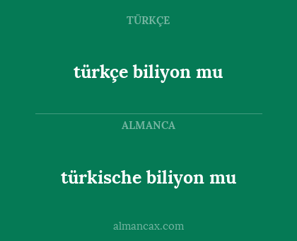 türkçe biliyon mu - türkische biliyon mu