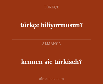 kennen sie türkisch? - türkçe biliyormusun?