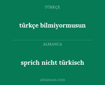 türkçe bilmiyormusun - sprich nicht türkisch