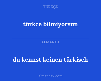 du kennst keinen türkisch - türkce bilmiyorsun