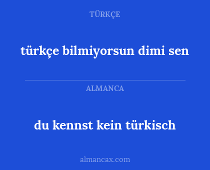 türkçe bilmiyorsun dimi sen - du kennst kein türkisch