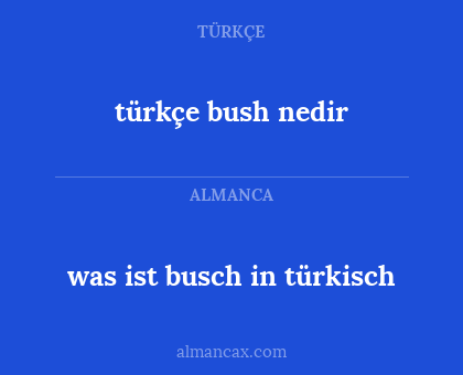 türkçe bush nedir - was ist busch in türkisch