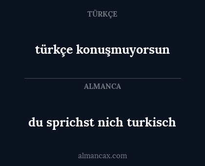 du sprichst nich turkisch - türkçe konuşmuyorsun