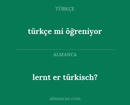 lernt er türkisch? - türkçe mi öğreniyor