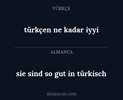 sie sind so gut in türkisch - türkçen ne kadar iyyi