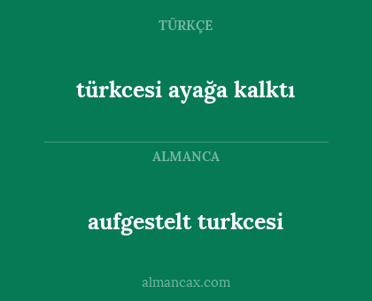 aufgestelt turkcesi - türkcesi ayağa kalktı