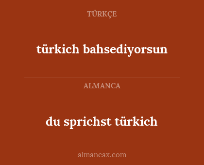 du sprichst türkich - türkich bahsediyorsun