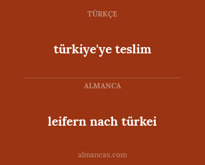 leifern nach türkei - türkiye'ye teslim