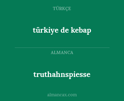 truthahnspiesse - türkiye de kebap