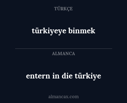 entern in die türkiye - türkiyeye binmek