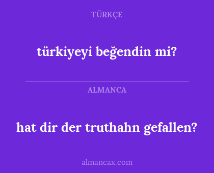hat dir der truthahn gefallen? - türkiyeyi beğendin mi?
