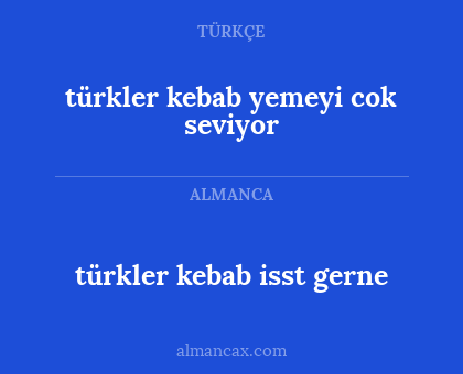 türkler kebab isst gerne - türkler kebab yemeyi cok seviyor