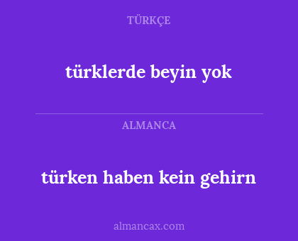 türken haben kein gehirn - türklerde beyin yok
