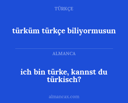 ich bin türke, kannst du türkisch? - türküm türkçe biliyormusun