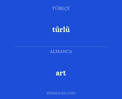 art - türlü