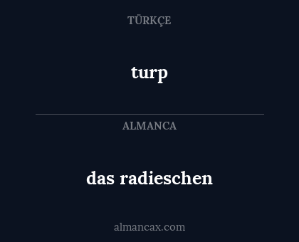 turp - das radieschen