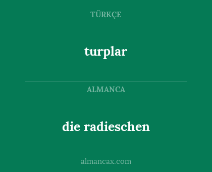 turplar - die radieschen