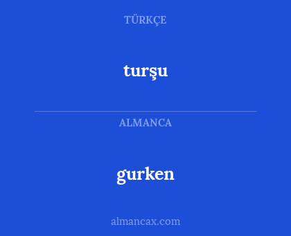 gurken - turşu