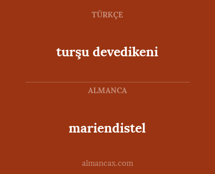 mariendistel - turşu devedikeni