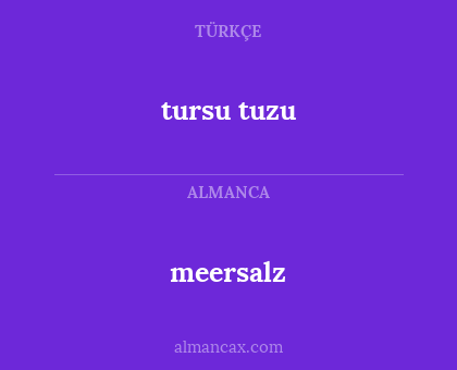 tursu tuzu - meersalz