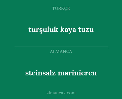 steinsalz marinieren - turşuluk kaya tuzu