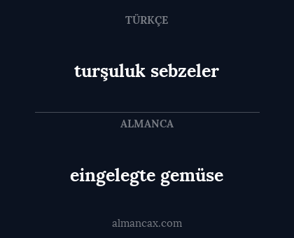 eingelegte gemüse - turşuluk sebzeler