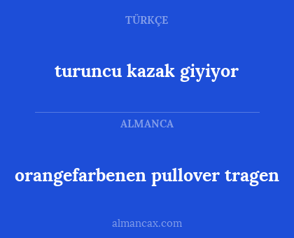orangefarbenen pullover tragen - turuncu kazak giyiyor