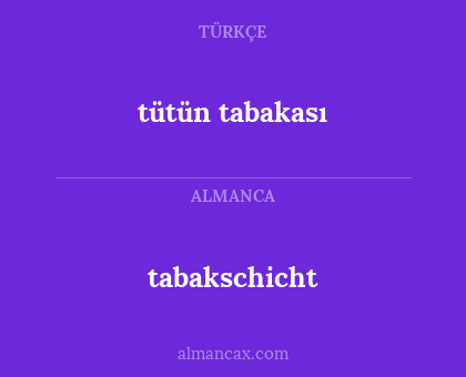 tabakschicht - tütün tabakası
