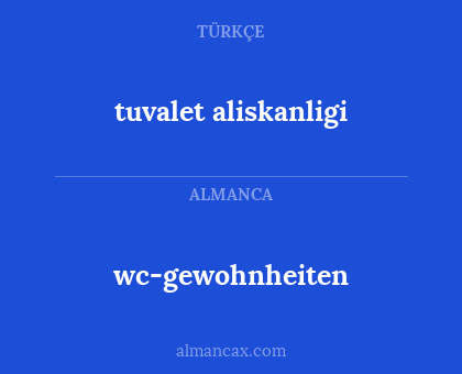 wc-gewohnheiten - tuvalet aliskanligi