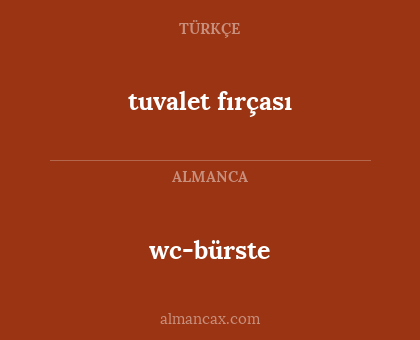 tuvalet fırçası - wc-bürste