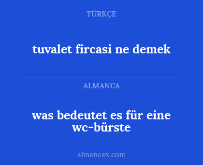 tuvalet fircasi ne demek - was bedeutet es für eine wc-bürste