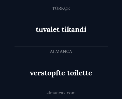tuvalet tikandi - verstopfte toilette
