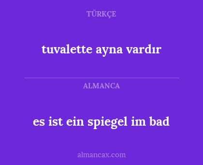 es ist ein spiegel im bad - tuvalette ayna vardır