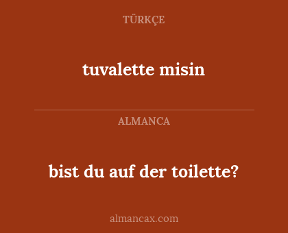 bist du auf der toilette? - tuvalette misin