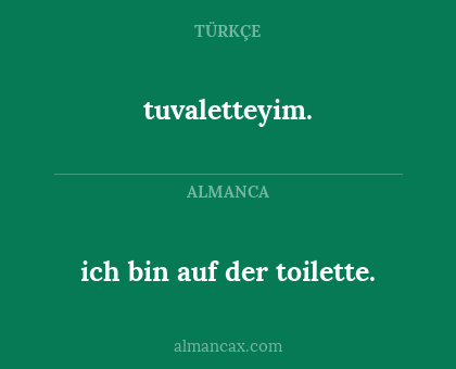 tuvaletteyim. - ich bin auf der toilette.